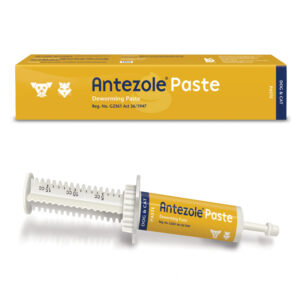 Antezole Paste 30ml