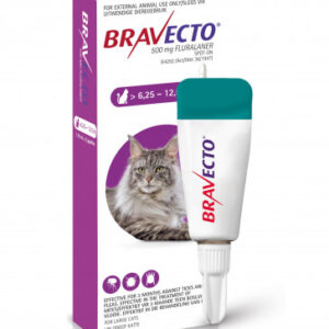 Bravecto S/ON Cat 500mg 6.25 - 12.5kg Lrg