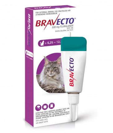 Bravecto S/ON Cat 500mg 6.25 - 12.5kg Lrg