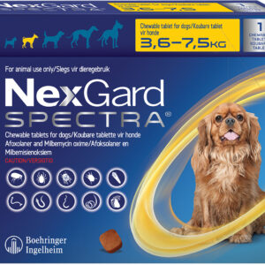 Nexgard Spectra S 3.6-7.5 Kg Singles