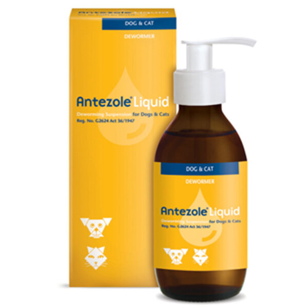 Antezole Liquid (Original) 100ml