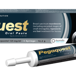 Pegaquest 12.2g