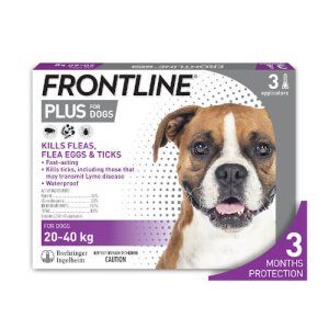 Frontline Plus Dog L 20-40kg 10's