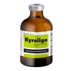 Kyroligo Inj 100ml
