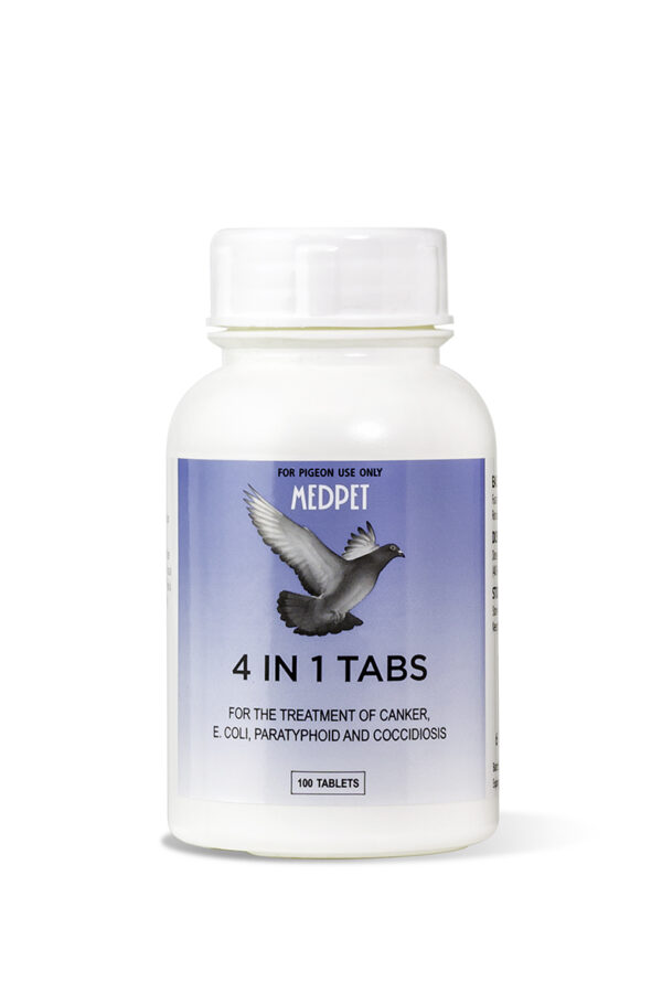 4-In-1 Tablets 100's