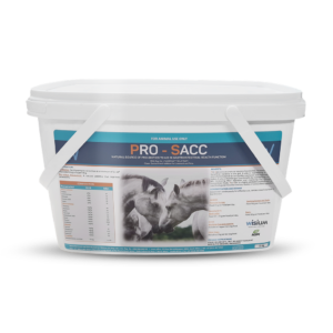Prosacc 2kg