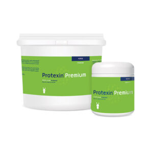 Protexin Premium 300g
