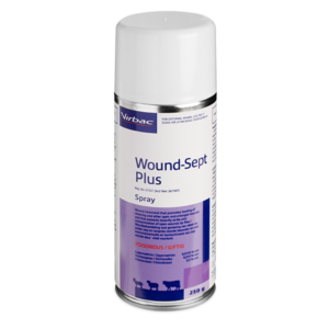 Wound-Sept Aerosol 350ml
